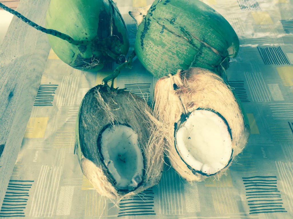 Fresh Coconut... Mmmm ! 